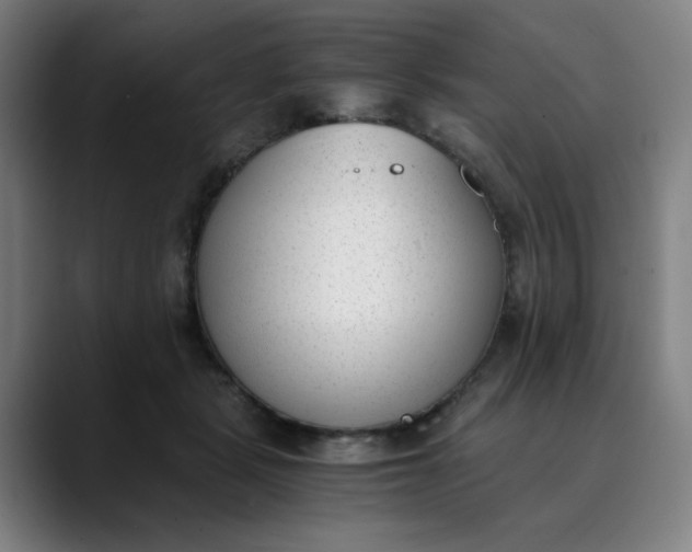 X0000089830461200707121644