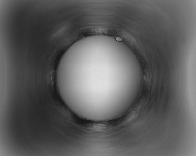 X0000089830462200707121644