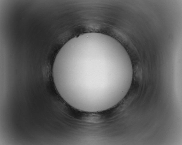 X0000089830463200707121644