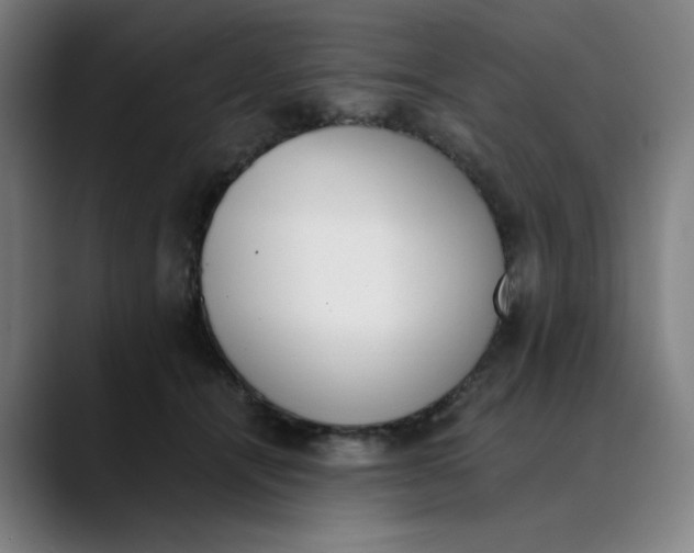 X0000089830464200707121644