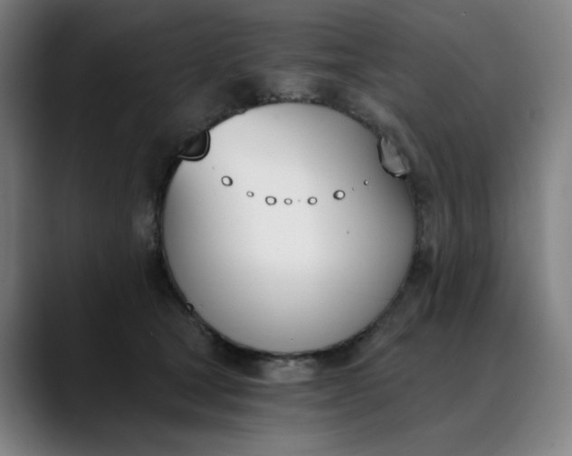 X0000089830465200707121644