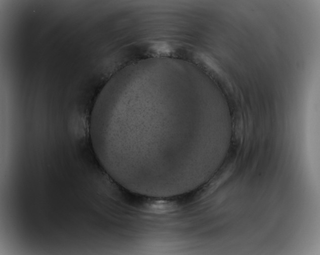 X0000089830467200707121644