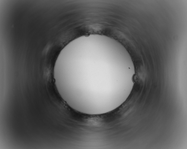 X0000089830468200707121644