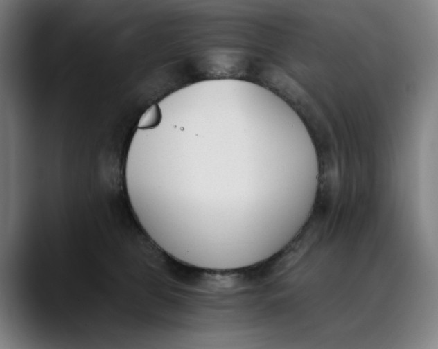 X0000089830469200707121644