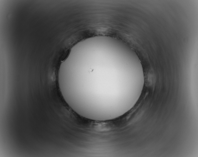 X0000089830472200707121644