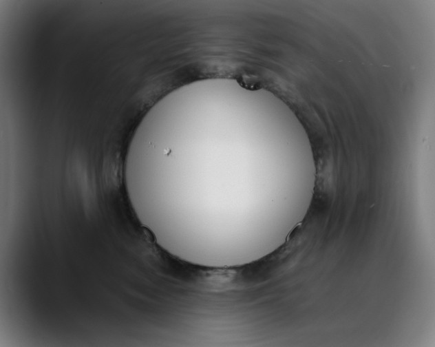 X0000089830474200707121644