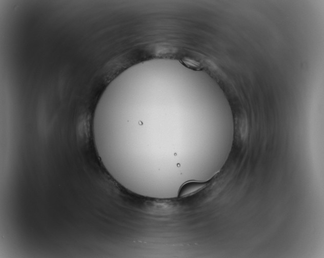 X0000089830475200707121644