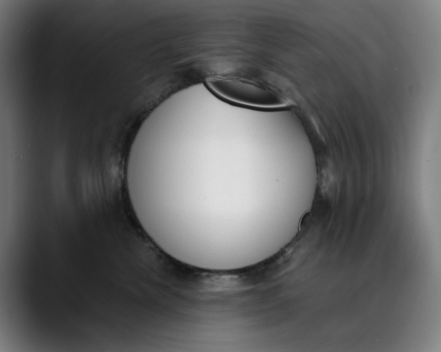 X0000089830476200707121644