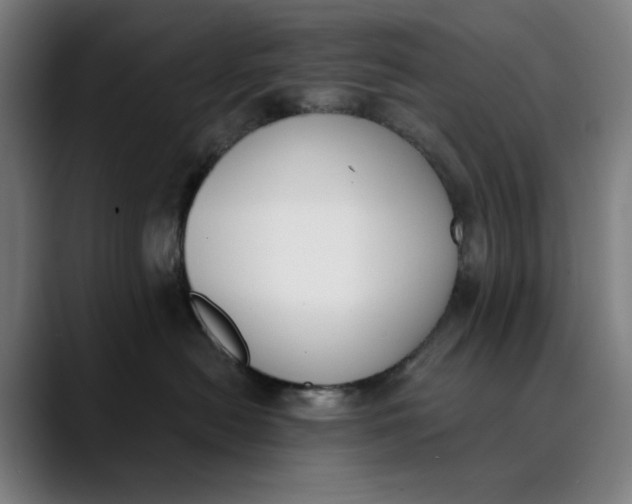 X0000089830478200707121644