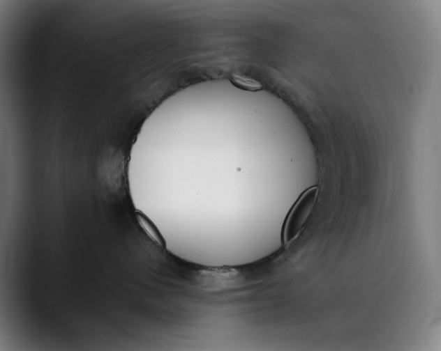 X0000089830480200707121644