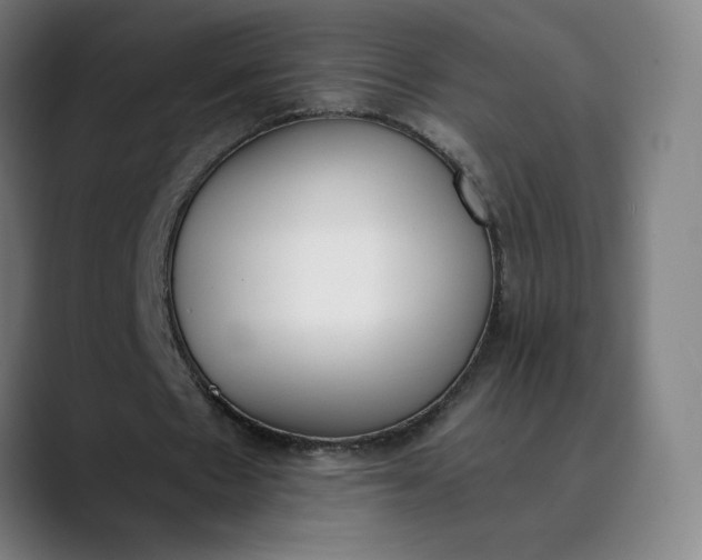 X0000089830481200707121644