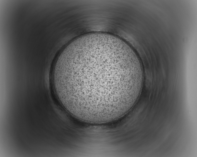 X0000089830482200707121643