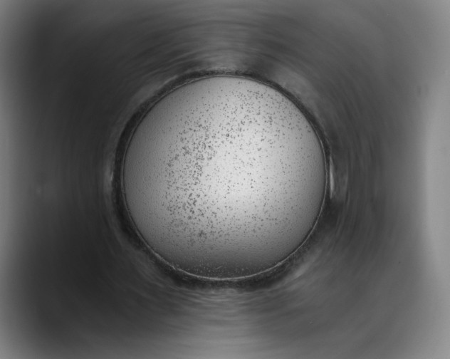 X0000089830483200707121643