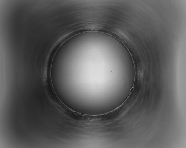 X0000089830484200707121643