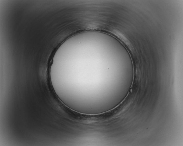 X0000089830485200707121643