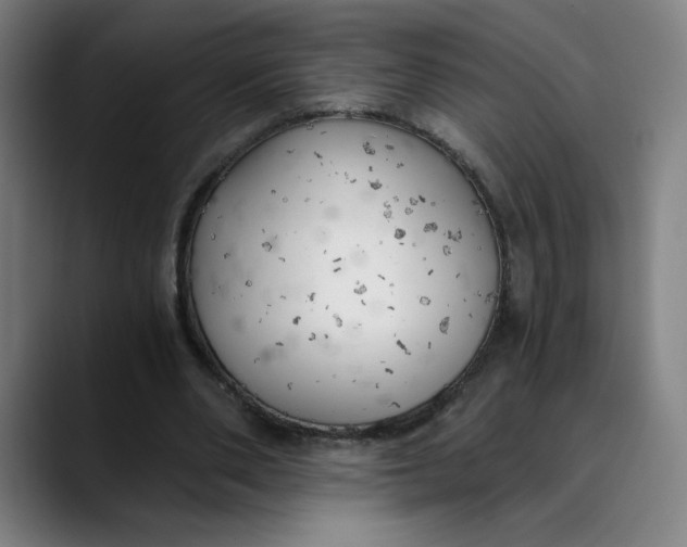 X0000089830486200707121643