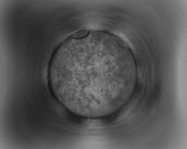 X0000089830487200707121643