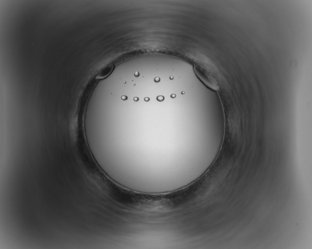 X0000089830488200707121643