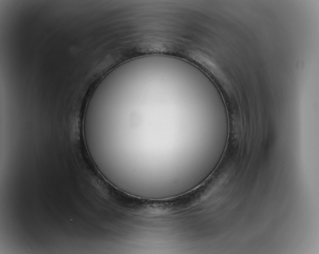 X0000089830489200707121643