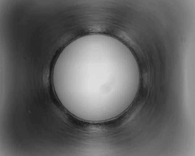 X0000089830490200707121643