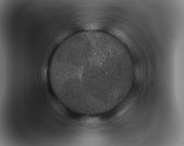 X0000089830491200707121643