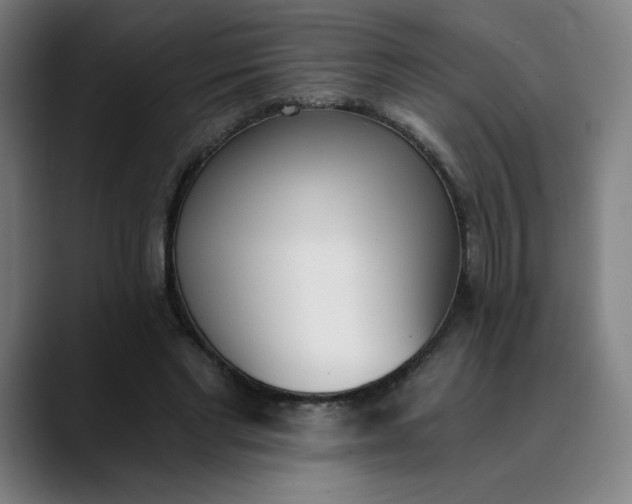 X0000089830493200707121643