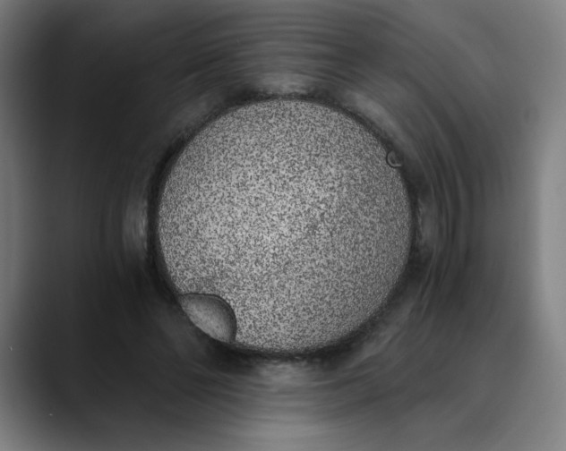 X0000089830494200707121643