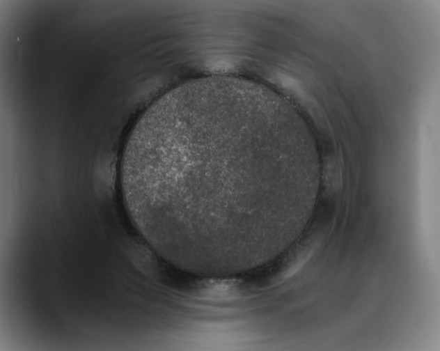 X0000089830495200707121643