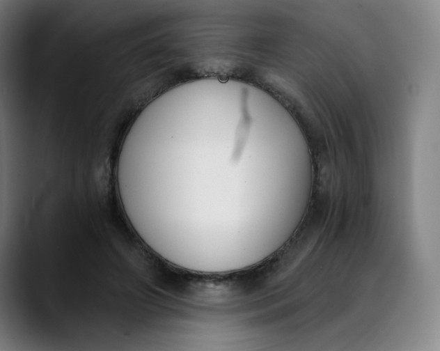 X0000089830498200707121643