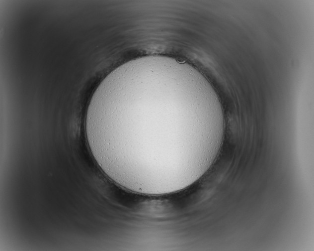 X0000089830499200707121643