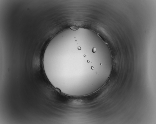 X0000089830500200707121643