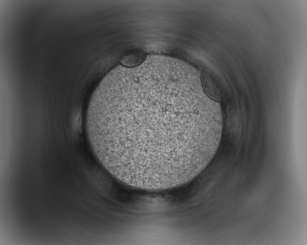 X0000089830502200707121643