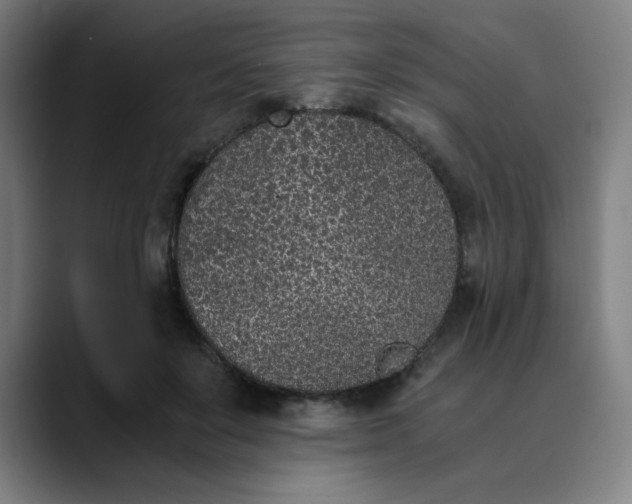 X0000089830503200707121643