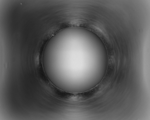 X0000089830504200707121643