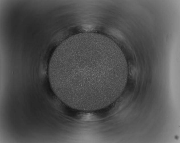 X0000089830507200707121643