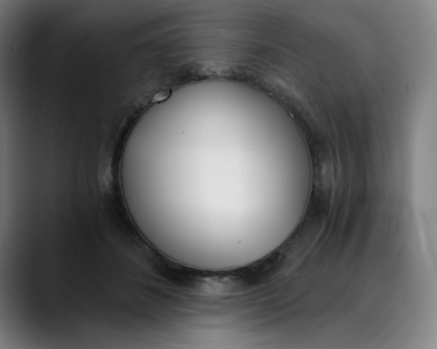 X0000089830508200707121643