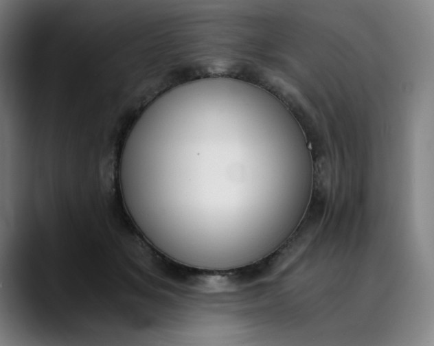 X0000089830509200707121643