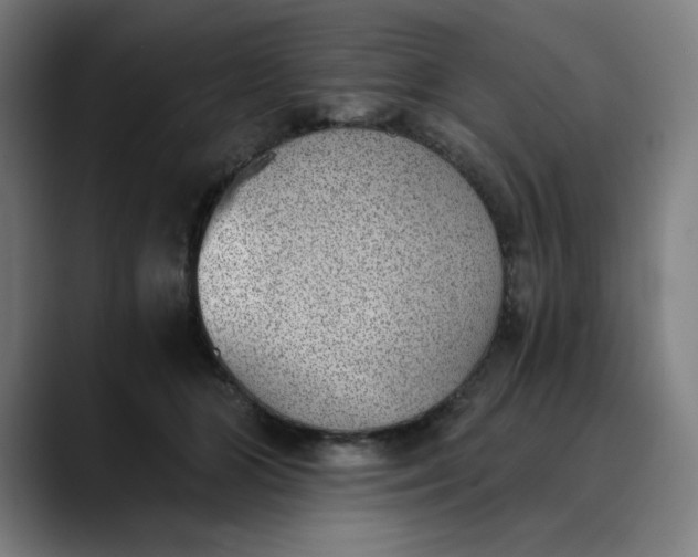 X0000089830510200707121643