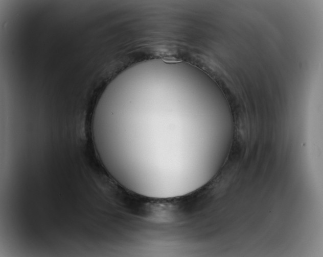 X0000089830512200707121643