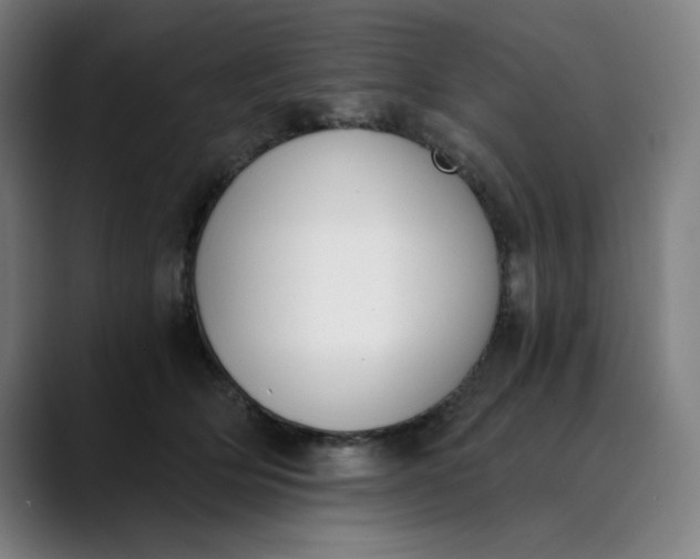 X0000089830514200707121643