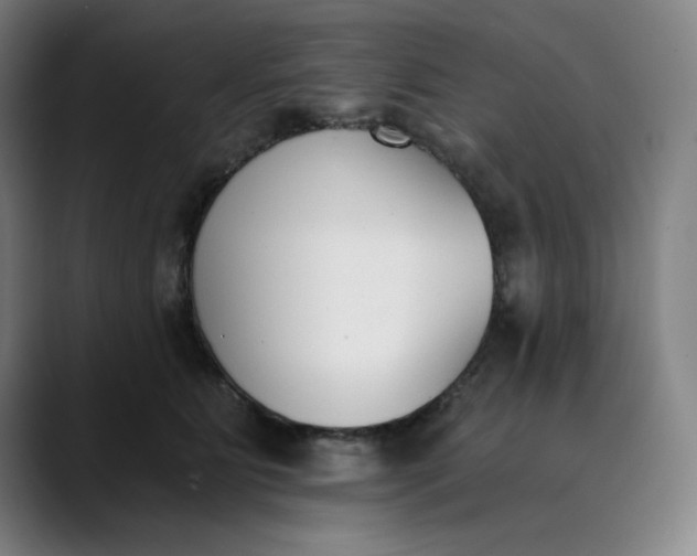 X0000089830515200707121643