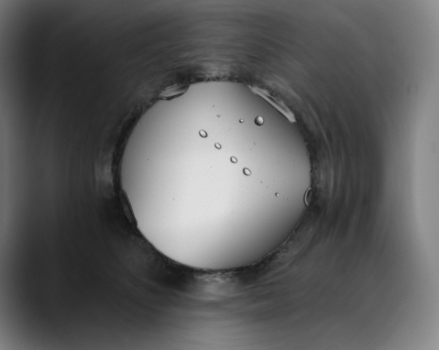 X0000089830516200707121643