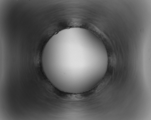 X0000089830517200707121643