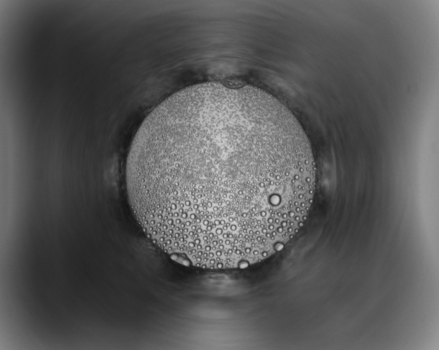 X0000089830519200707121643