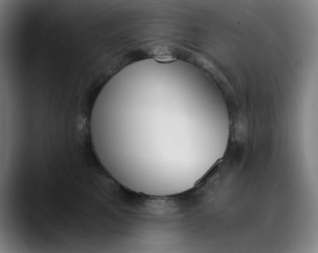 X0000089830521200707121643