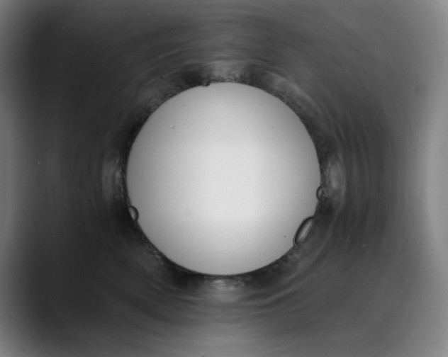 X0000089830522200707121643