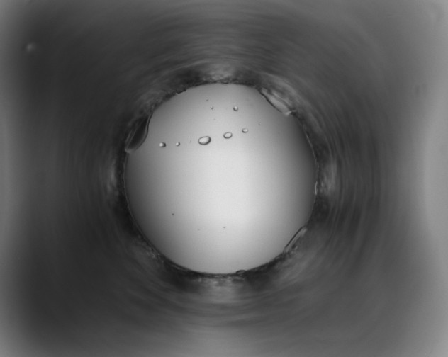 X0000089830524200707121643