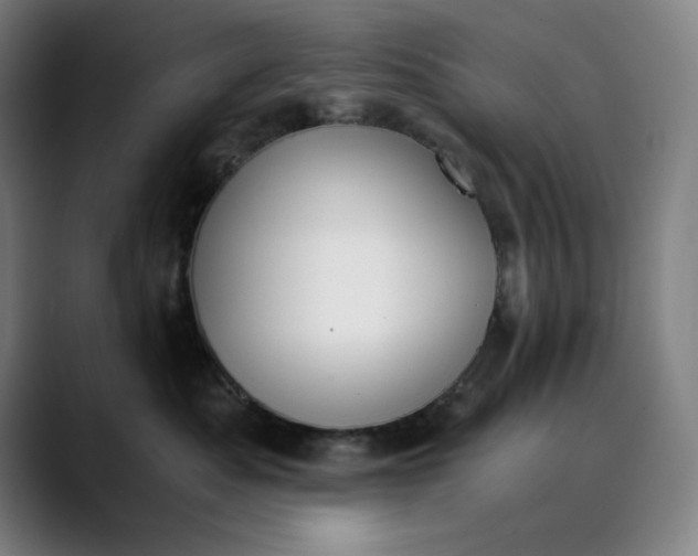 X0000089830525200707121643