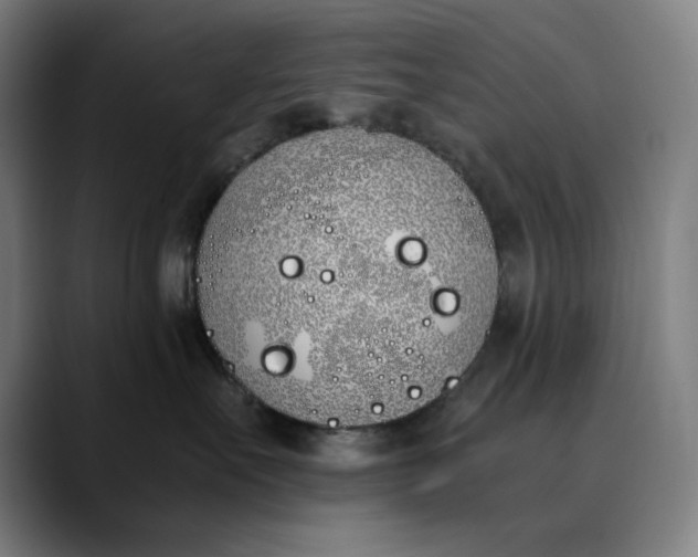 X0000089830527200707121643