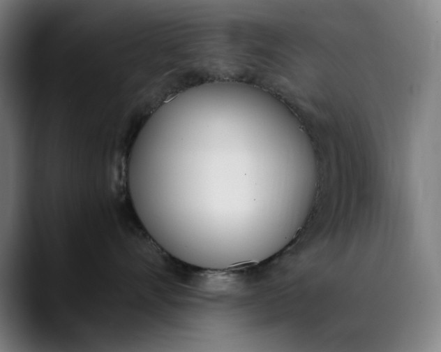 X0000089830528200707121643